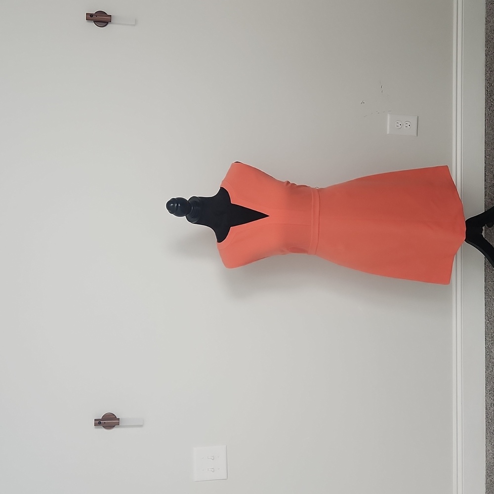 Diane Von Furstenberg Coral Dress with Chic Design